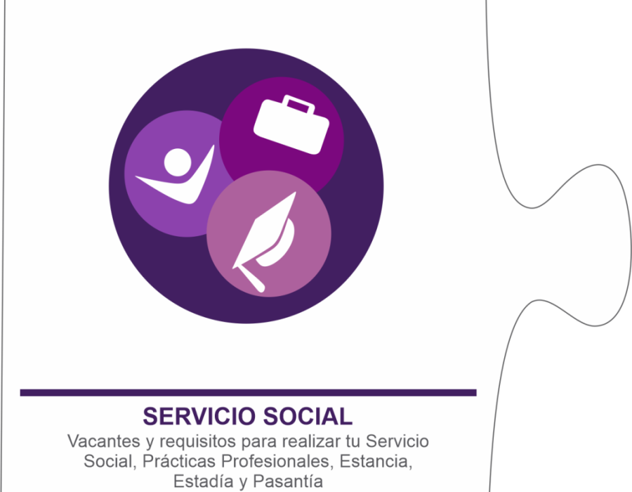 BOTÓN SERVICIO SOCIAL
